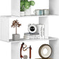Function Home 5-Tier Bookshelf, Wooden S-Shaped Bookcase,